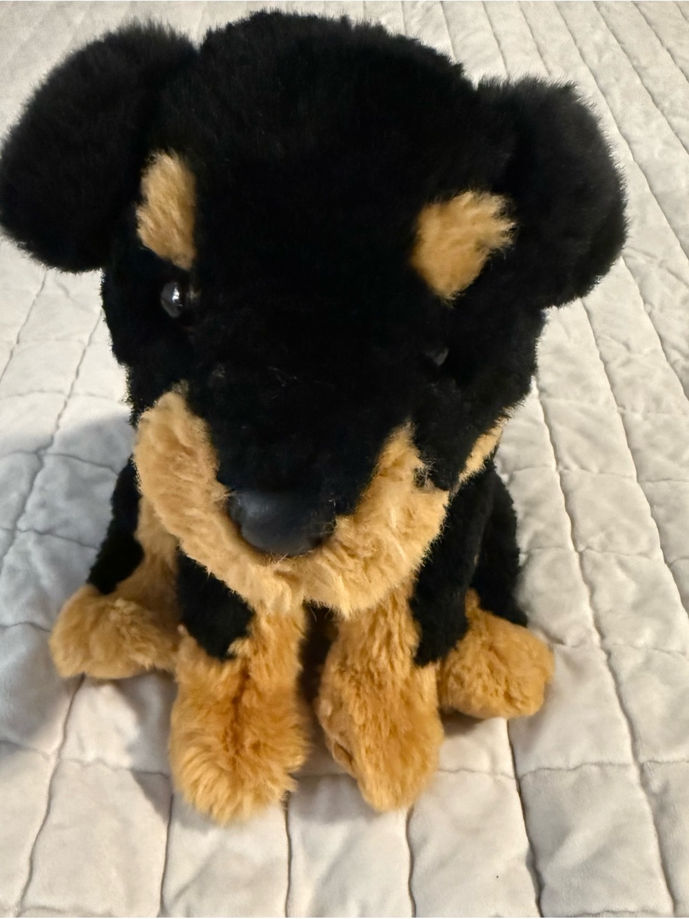 Douglas Rottweiler Plush - Picture 1 of 5